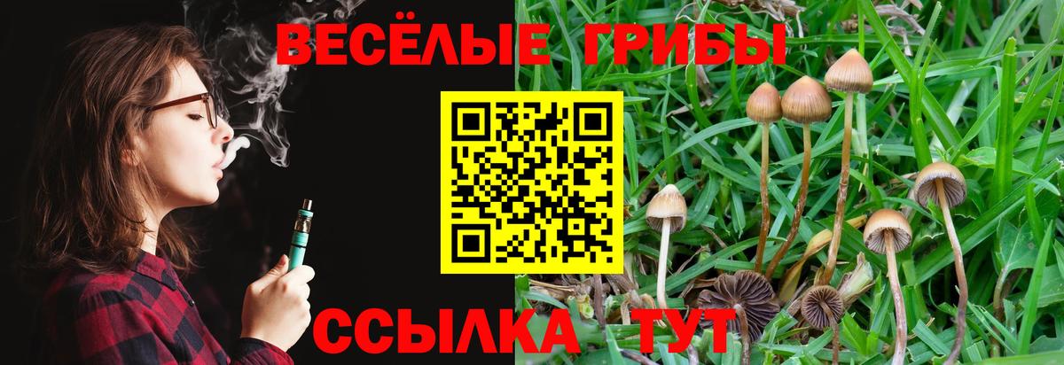 Галлюциногенные грибы мухоморы  Вход с VPN  Шелехов  Галлюциногенные грибы Psilocybine cubensis 